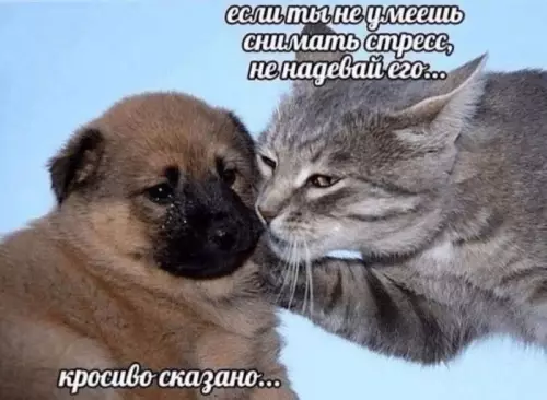 Смешная картинка №739528