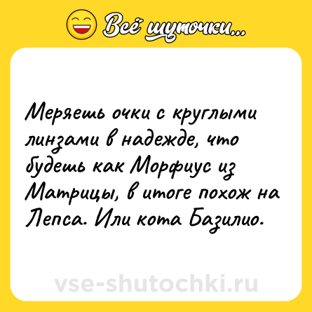 Шутка: Меряешь очки с круглыми линзами в надежде, что будешь как Морфиус из Матрицы, в итоге похож на Лепса. Или кота Базилио.