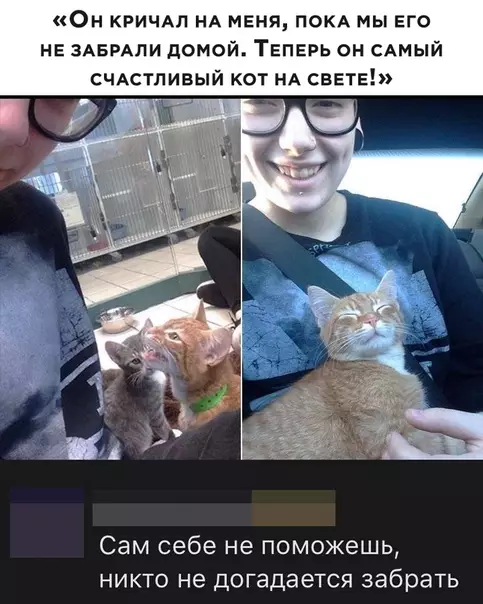 Смешная картинка №492139