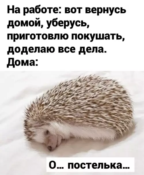 Смешная картинка №674503