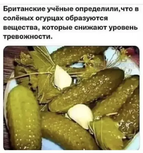 Смешная картинка №798782 На нобелевку замахнулись