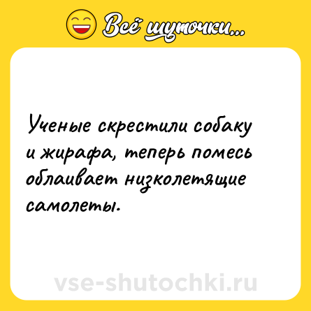 Шутка: Ученые скрестили собаку и жирафа, теперь помесь облаивает низколетящие самолеты.