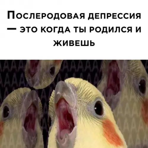 Смешная картинка №628489