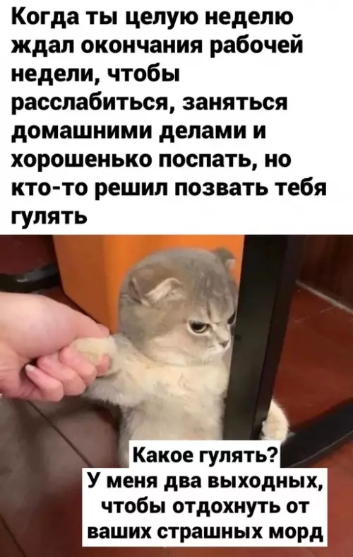 Смешная картинка №717269