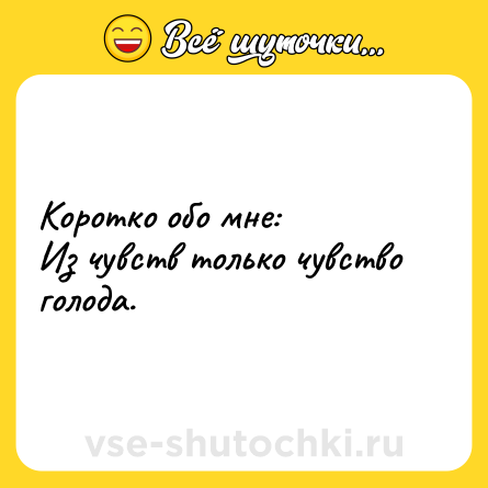 Шутка: Коротко обо мне: <br>Из чувств только чувство голода.