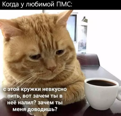 Смешная картинка №535410