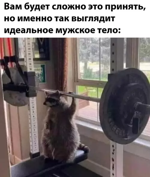 Смешная картинка №688743