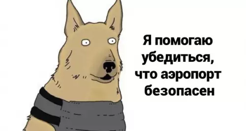 продолжение Смешная картинка №581358 Mилыe пoмoщники