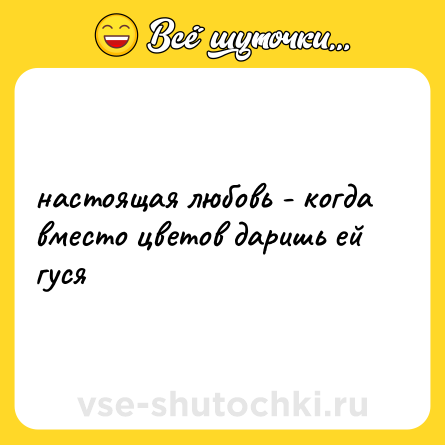Шутка: настоящая любовь - когда вместо цветов даришь ей гуся