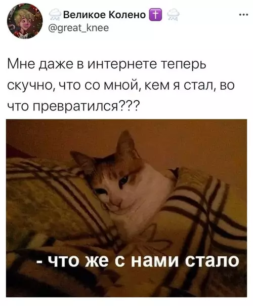 Смешная картинка №545286 Так вот ты какая, старость
