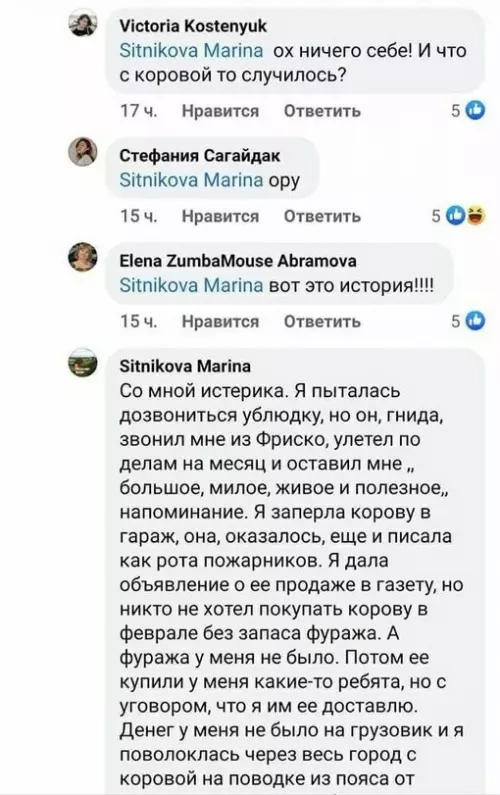 продолжение Смешная картинка №668557 девушки, подарки, корова