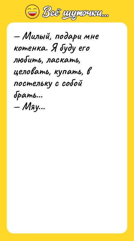 Милый, подари мне котенка. Я буду его любить, ласкать,