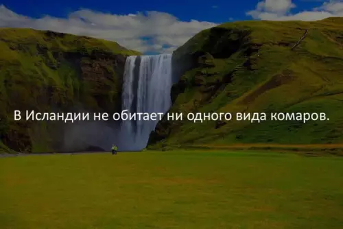 Смешная картинка №194565 Прощайте.