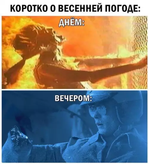 Смешная картинка №271781