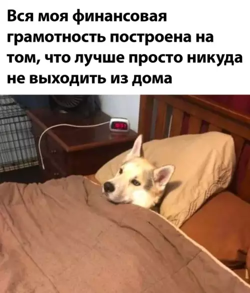 Смешная картинка №683768