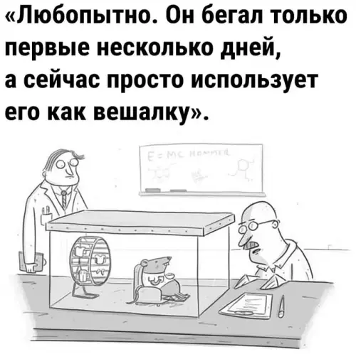 Смешная картинка №672434
