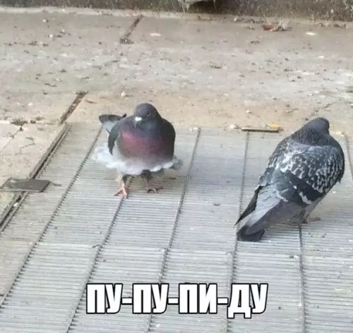 Смешная картинка №299256