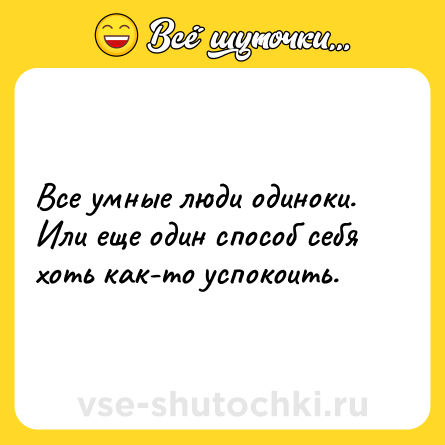 Шутка: Все умные люди одиноки. Или еще один способ себя хоть как-то успокоить.