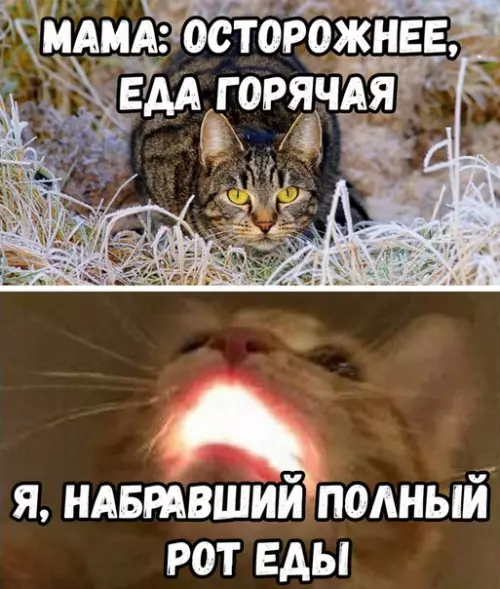 Смешная картинка №362935
