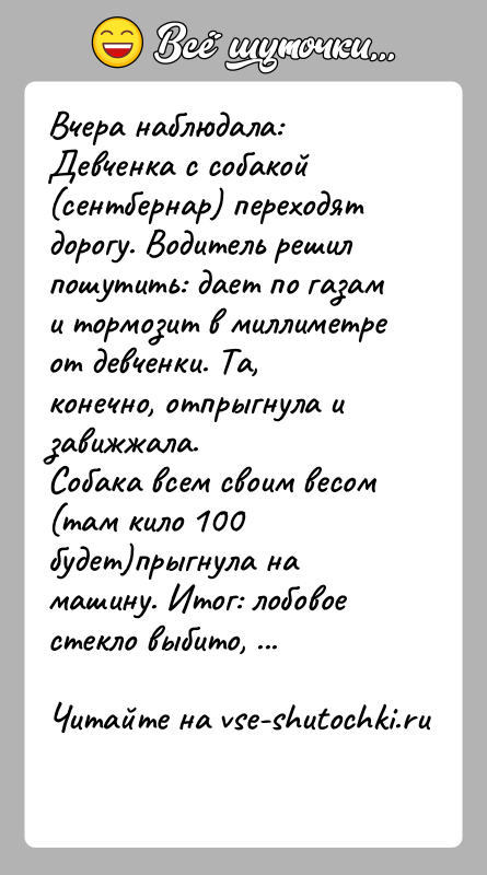 История: Вчера наблюдала:Девченка с собакой (сентбернар) переходят дорогу. Водитель решил пошутить: дает по газам и тормозит в миллиметре от девченки. Та,