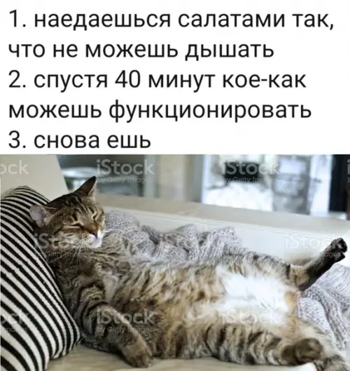 Смешная картинка №547577 Инструкция к новогодним праздникам