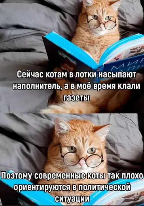 Смешная картинка №682774