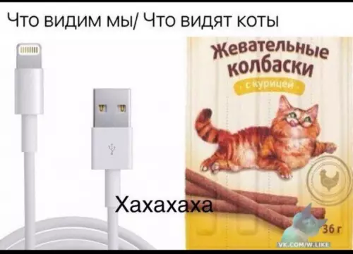 Смешная картинка №325742