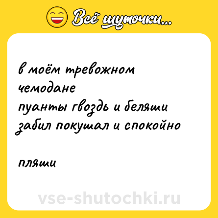 Шутка: в моём тревожном чемодане <br>пуанты гвоздь и беляши <br>забил покушал и спокойно <br>пляши