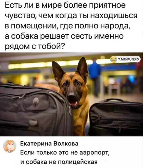 Смешная картинка №702658