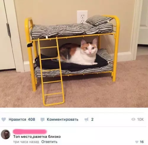 Смешная картинка №257022