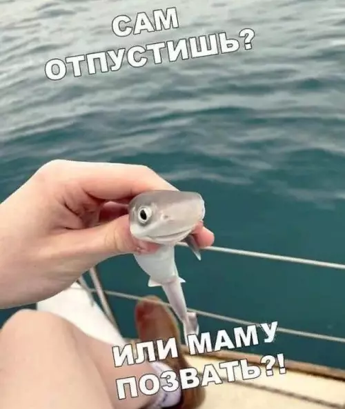 Смешная картинка №782023