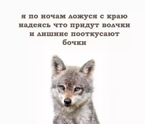 Смешная картинка №347419