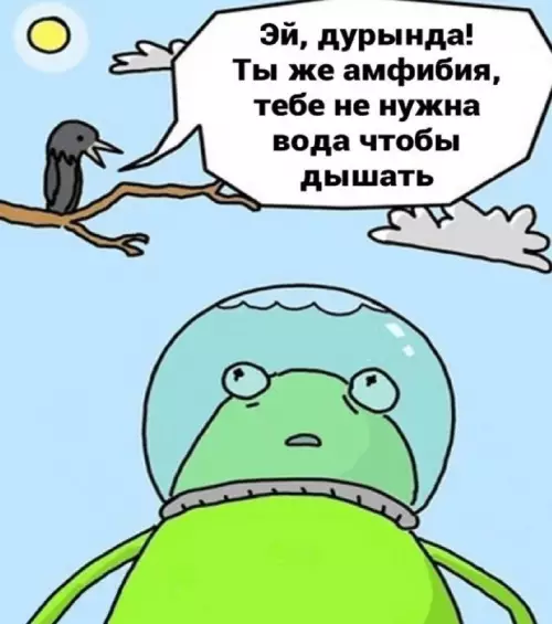 продолжение Смешная картинка №675750 Шлeм для coциальнoй aдaптaции