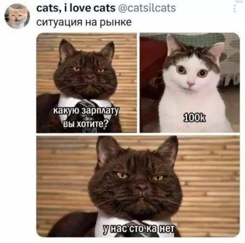 Когда попросил прибавку, а на тебя так посмотрели 🙀 - ситуация на рынке. какую зарплату вы хотите? 100k. у нас