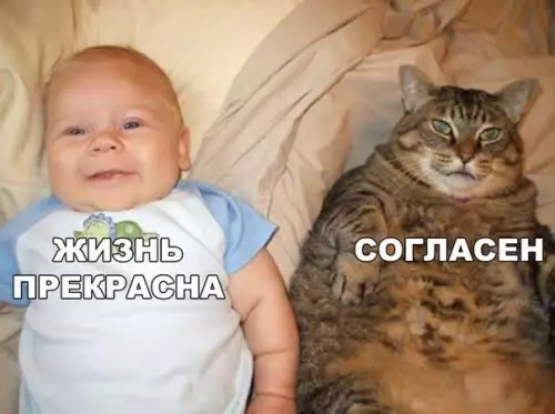 Смешная картинка №444935
