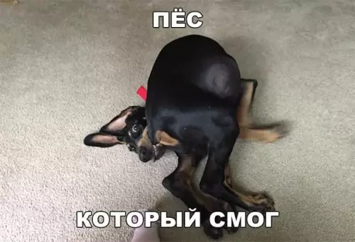 Смешная картинка №206606