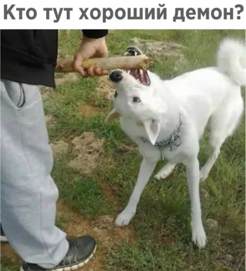 Смешная картинка №234358