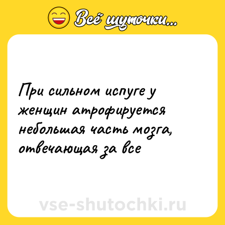 Шутка: При сильном испуге у женщин атрофируется небольшая часть мозга, отвечающая за все