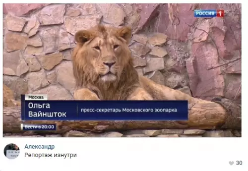 Смешная картинка №302007