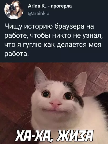 Смешная картинка №620503 работа