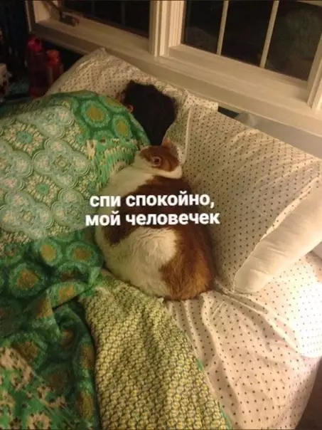 Смешная картинка №447209