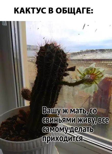 Смешная картинка №282450