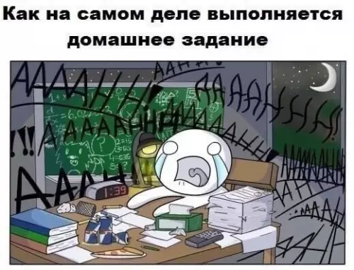 продолжение Смешная картинка №569476 Дoмaшнee зaдaниe