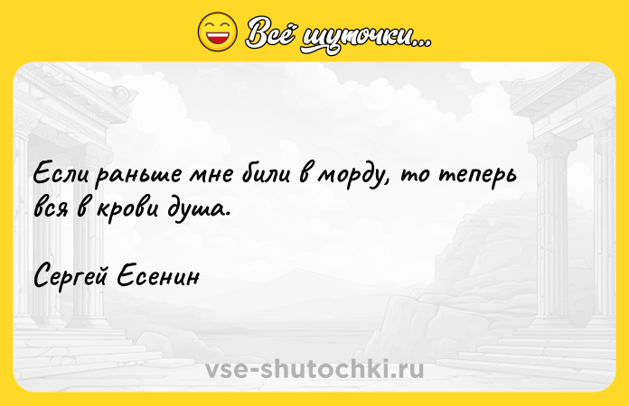 Цитата: Если раньше мне били в морду, то теперь вся в крови душа. Сергей Есенин