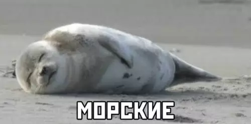 продолжение Смешная картинка №563983