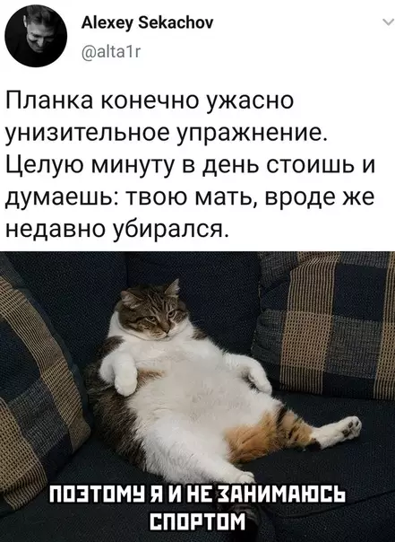 Смешная картинка №495779
