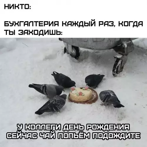 Бухгалтерия в деле! 🐦🍰 - НИКТО: БУХГАЛТЕРИЯ КАЖДЫЙ РАЗ, КОГДА ТЫ ЗАХОДИШЬ: У КОЛЛЕГИ ДЕНЬ