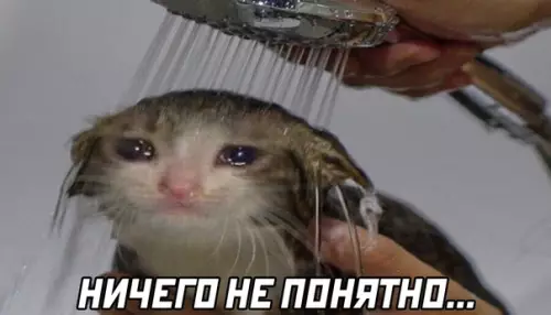 продолжение Смешная картинка №585953