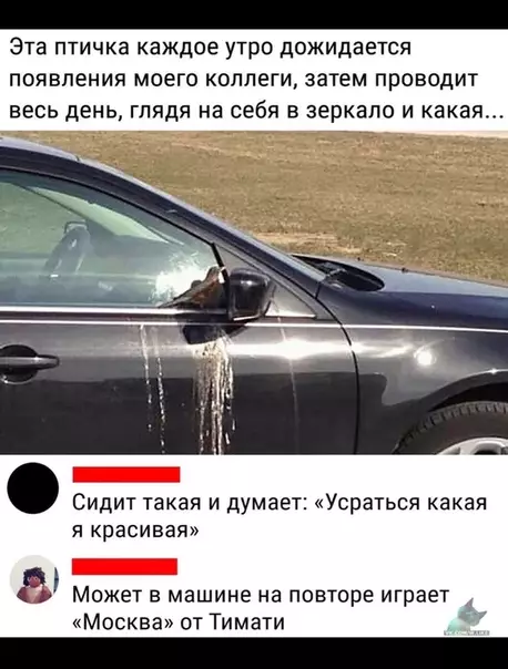 Смешная картинка №386444