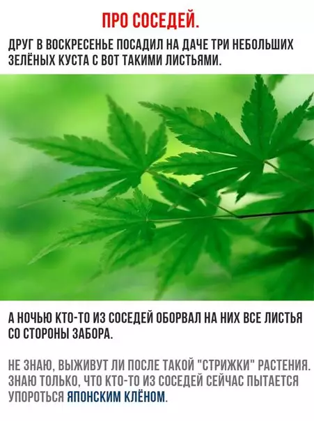 Смешная картинка №195553